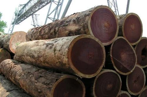 Azobe Wood